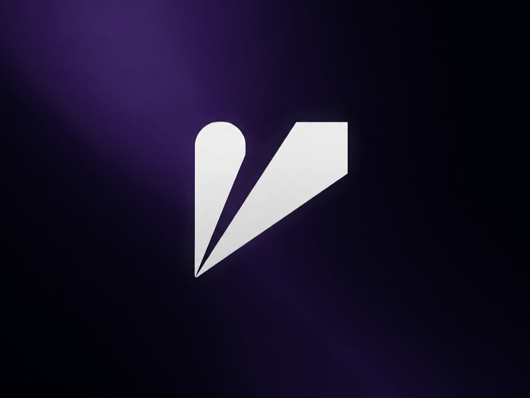 Vizualogy branding and scalable websites Framer studio
