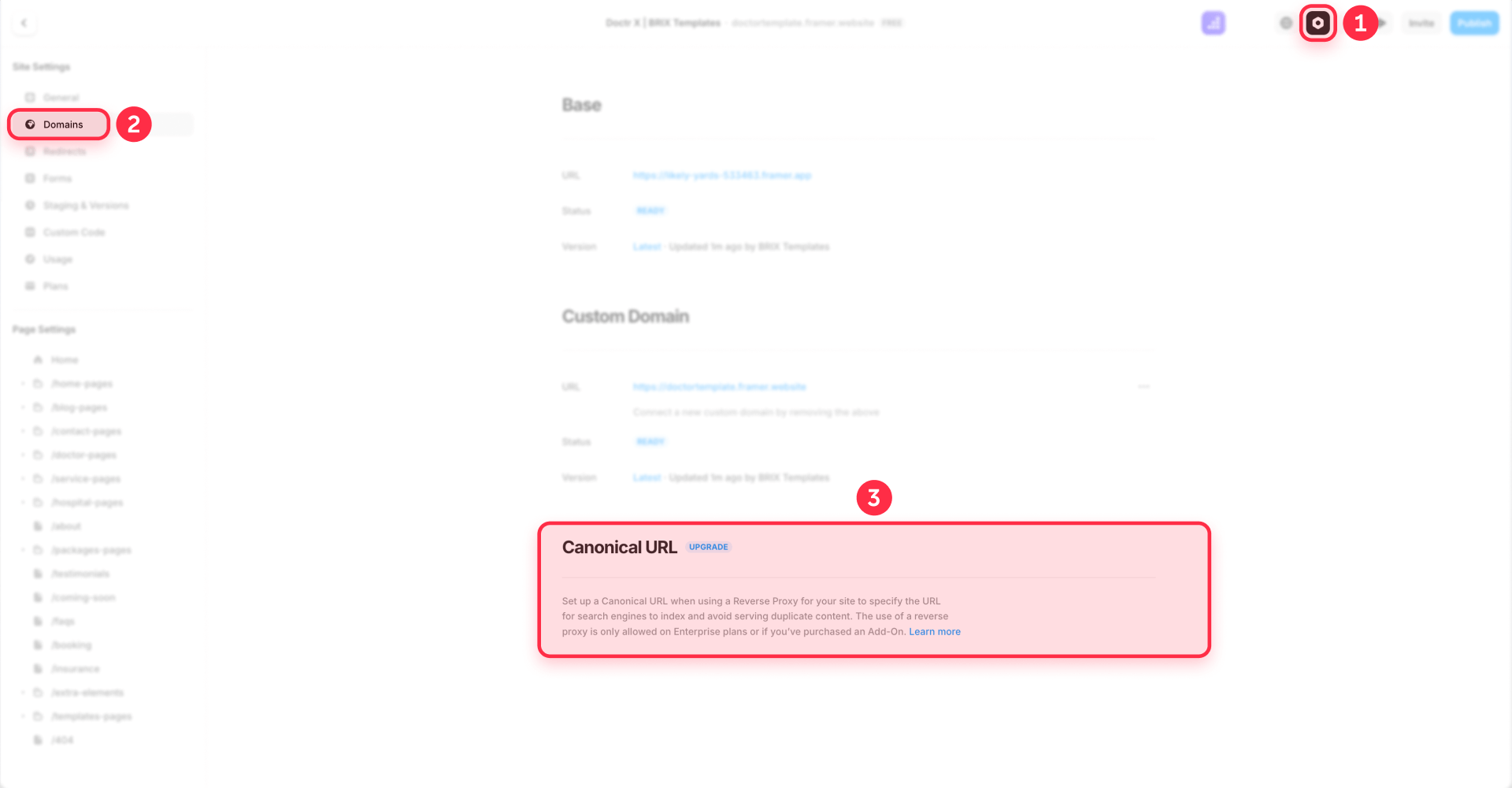 How To Set The Canonical URL In Framer Domains For A Reverse Proxy