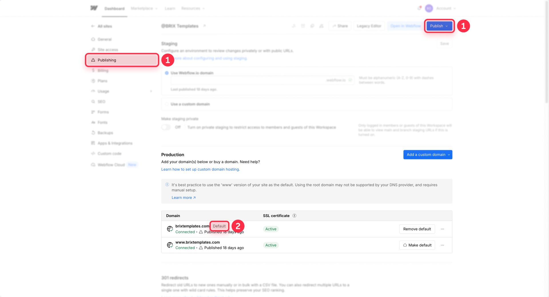 How To Make A Domain Default And Publish In Webflow