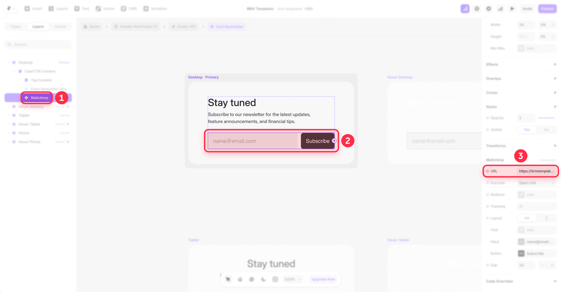 How To Paste The Mailchimp URL In The Framer Component
