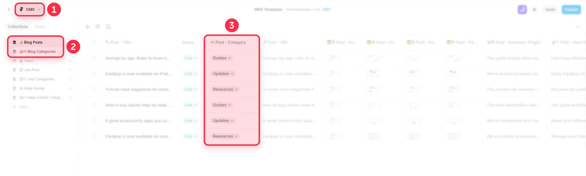 How To Configure The Collections For Filters In Framer CMS