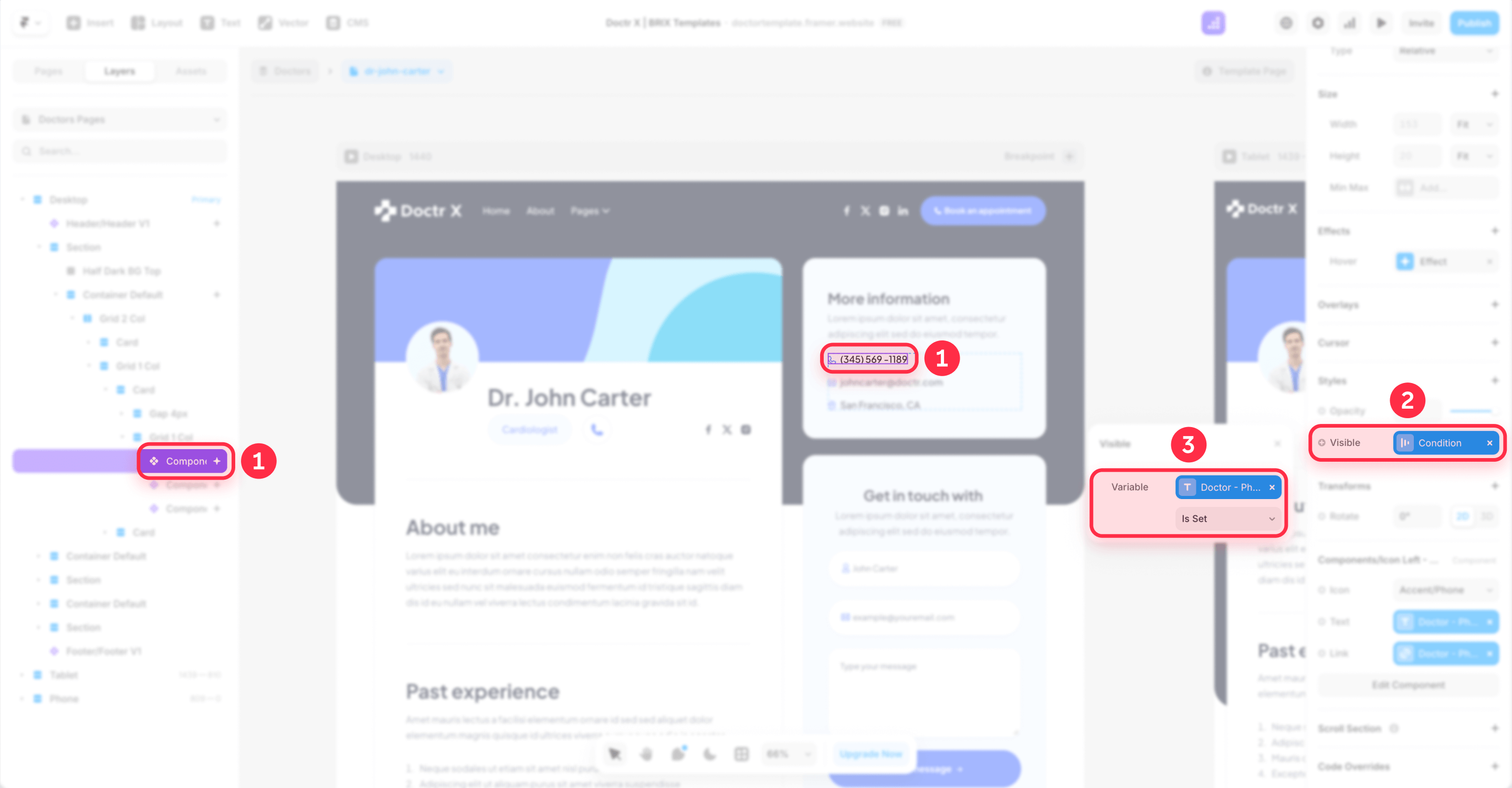 How To Configure The Conditional Visibility In Framer CMS