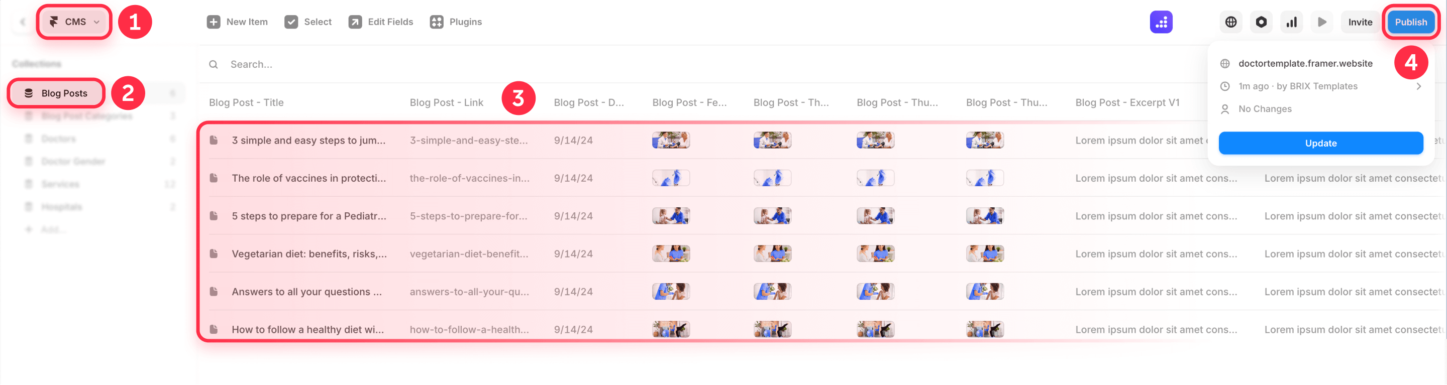 How To Manage The Blog Posts In Framer CMS Before Publishing