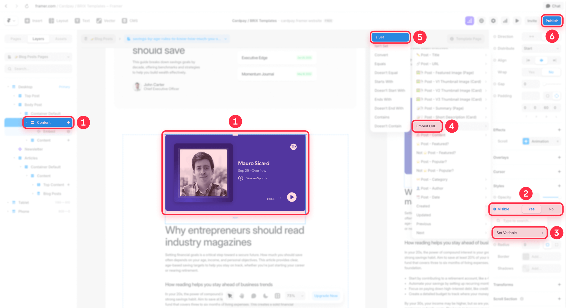 How To Configure The Conditional Visibility Of The Embed In Framer