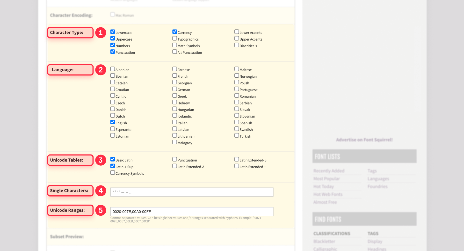 How To Configure The Custom Subsetting Options In Font Squirrel For Framer