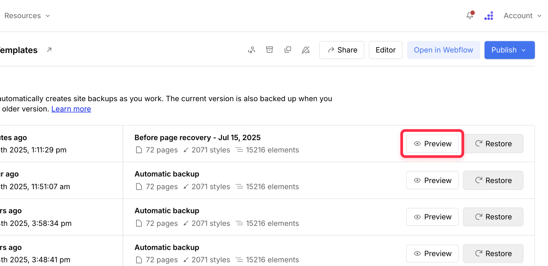 Preview Webflow backup