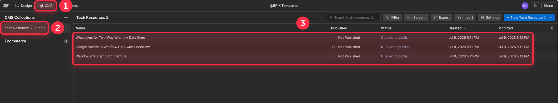 The items queued for publishing in Webflow CMS after the sync