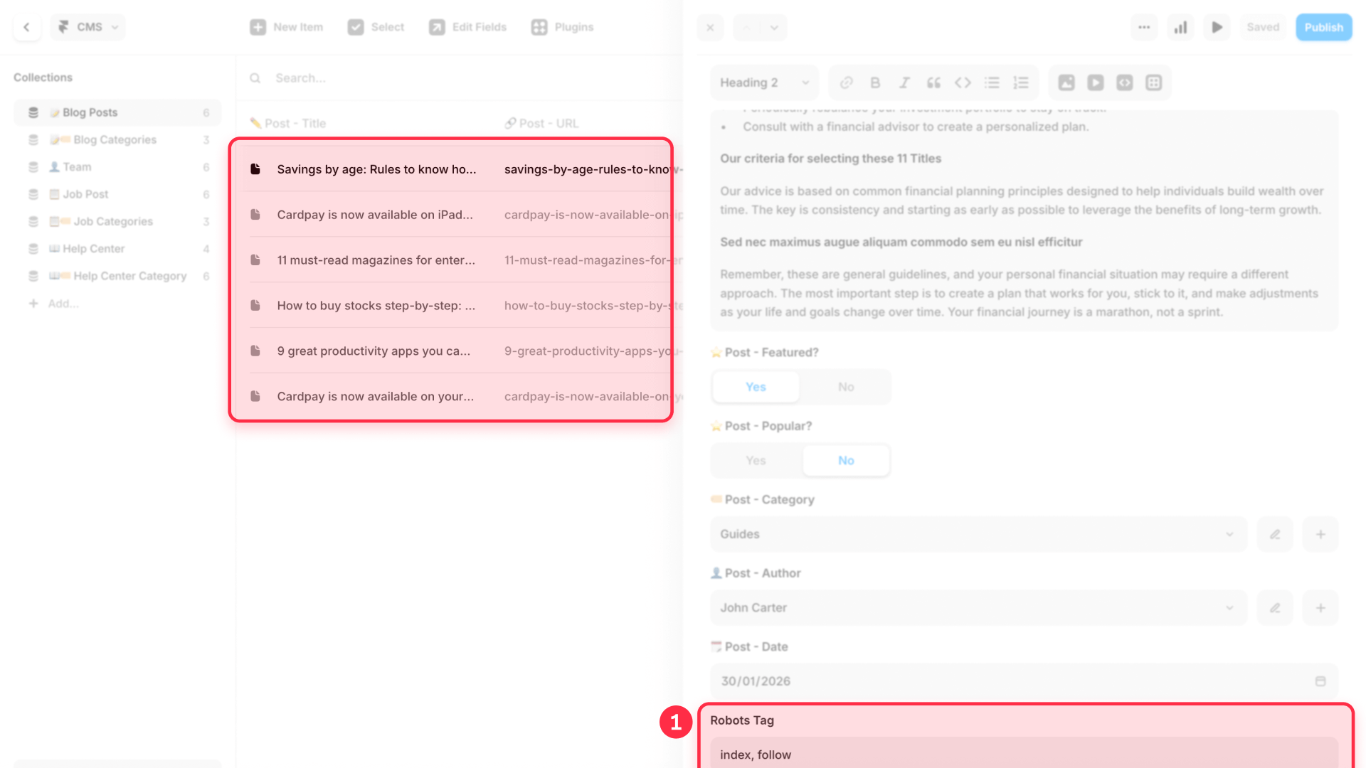 How to fill in the robots tag field for Framer items