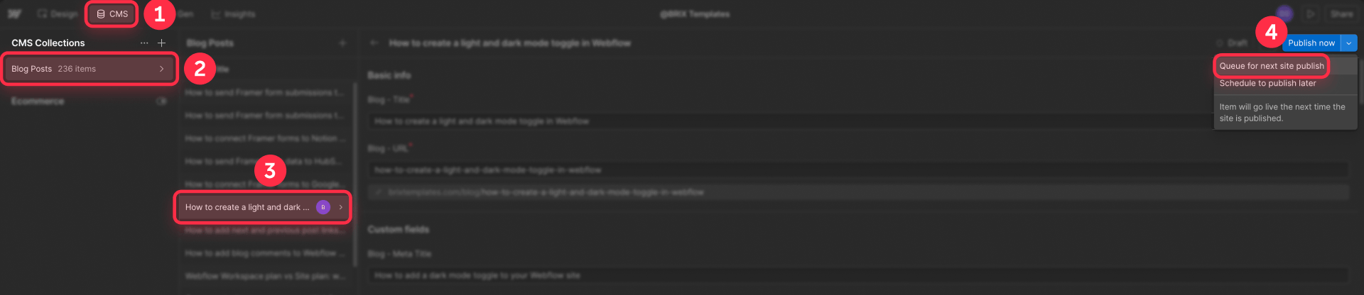 How To Queue For Next Site Publish In Webflow CMS