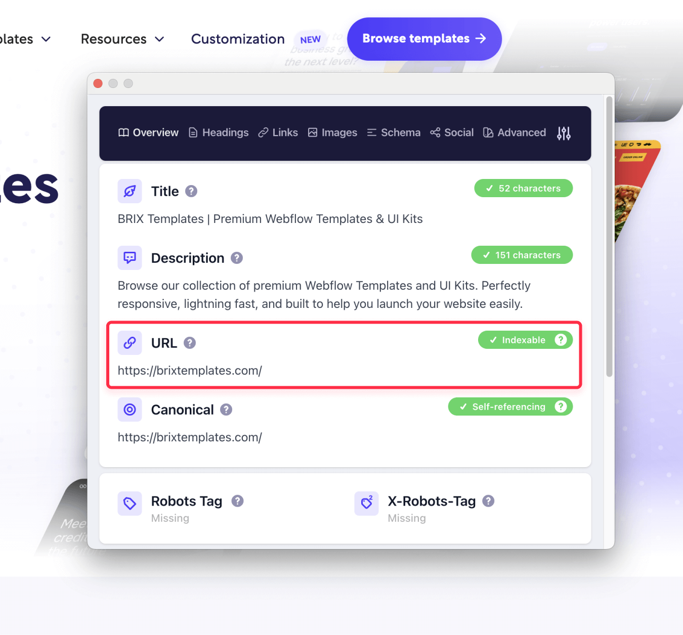 Verify If Your Webflow Site Is Indexable