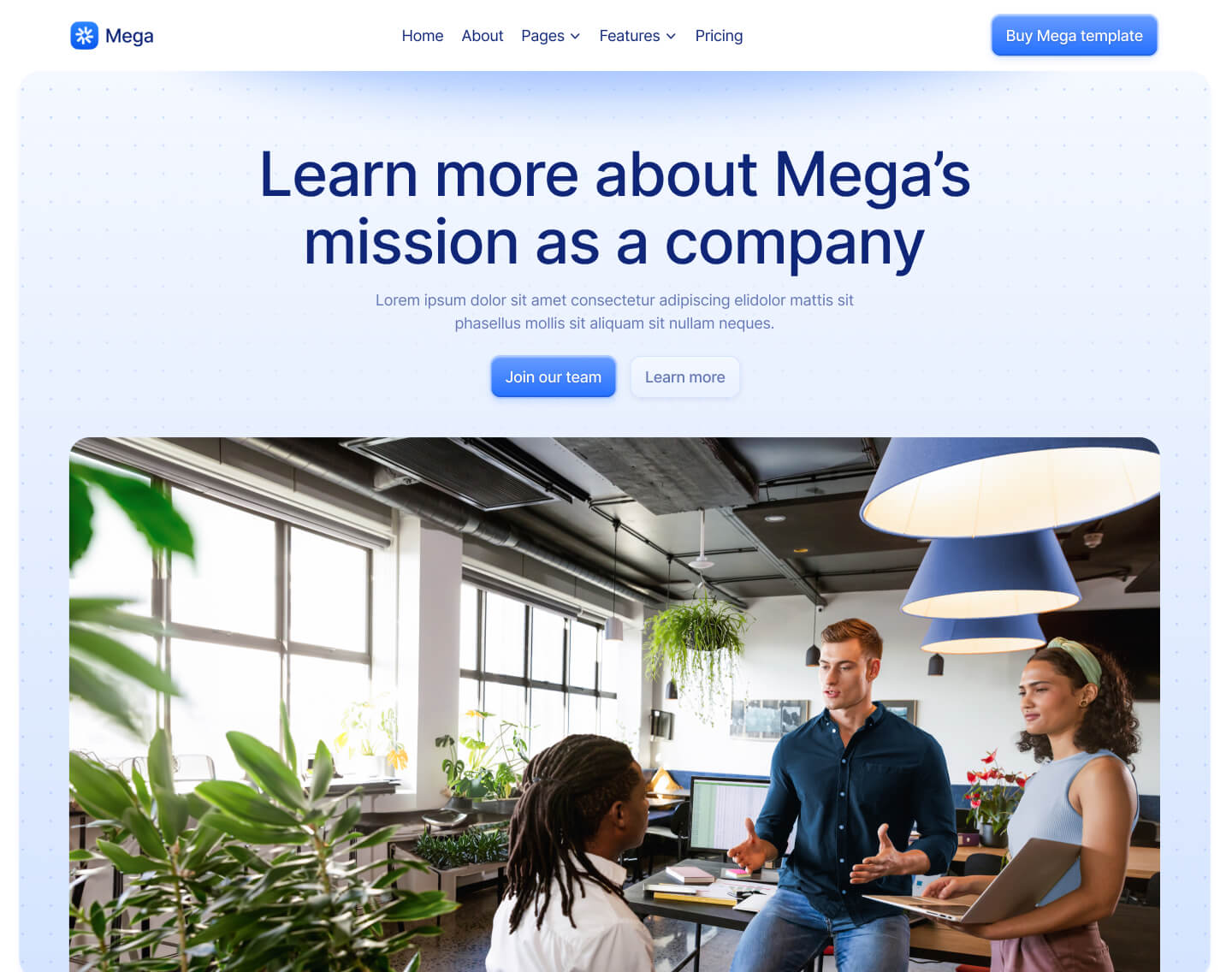 About V1 Page - Mega Webflow Template