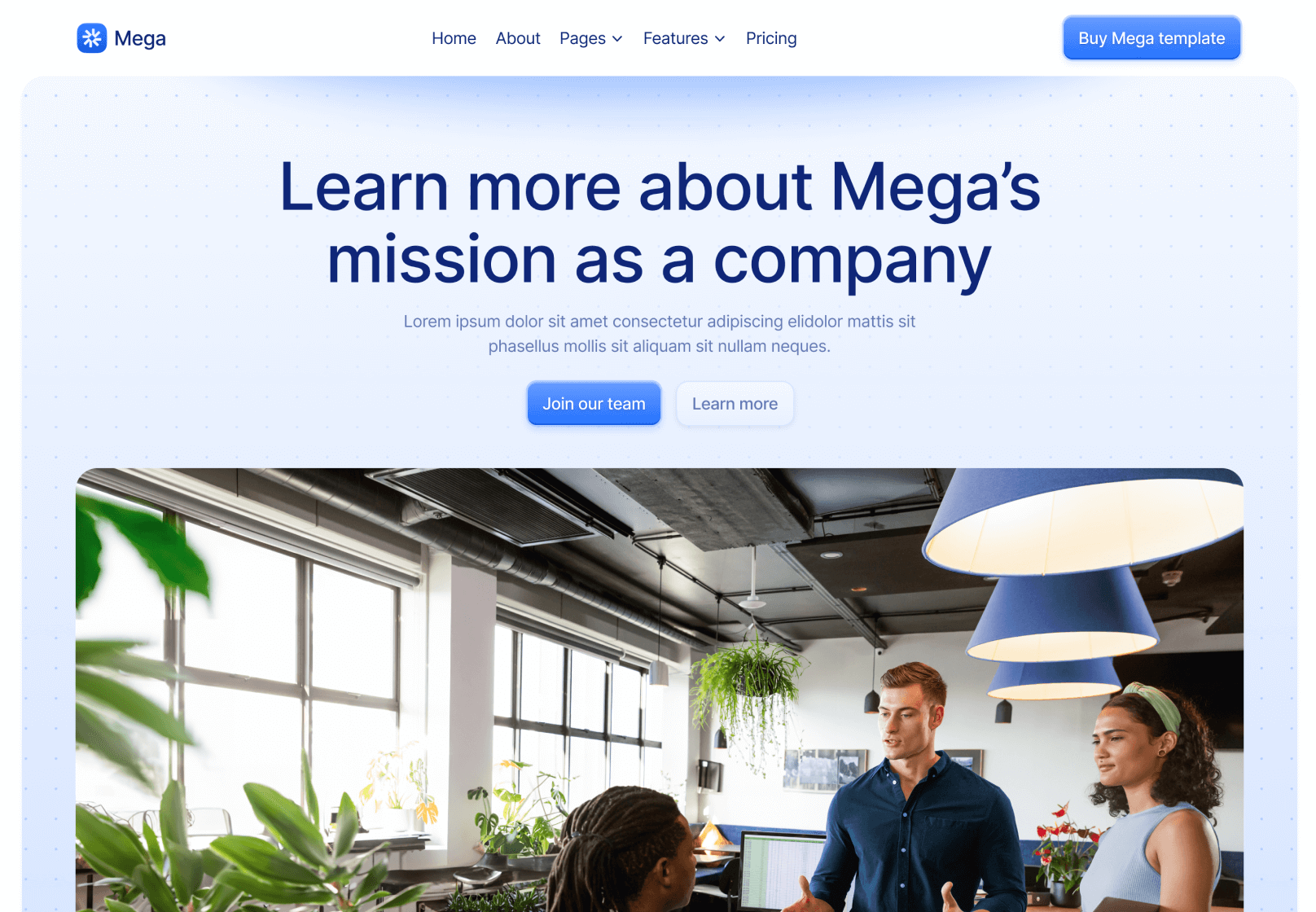 About V1 Page - Mega Webflow Template