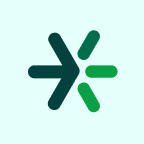Accountant X