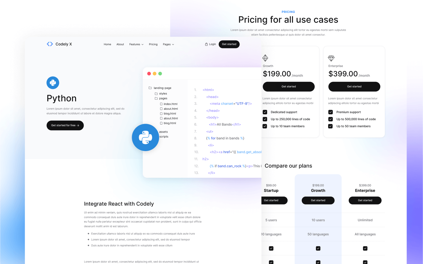Codely X Webflow Template