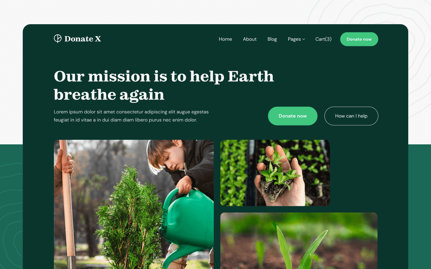 Donation X Webflow Template