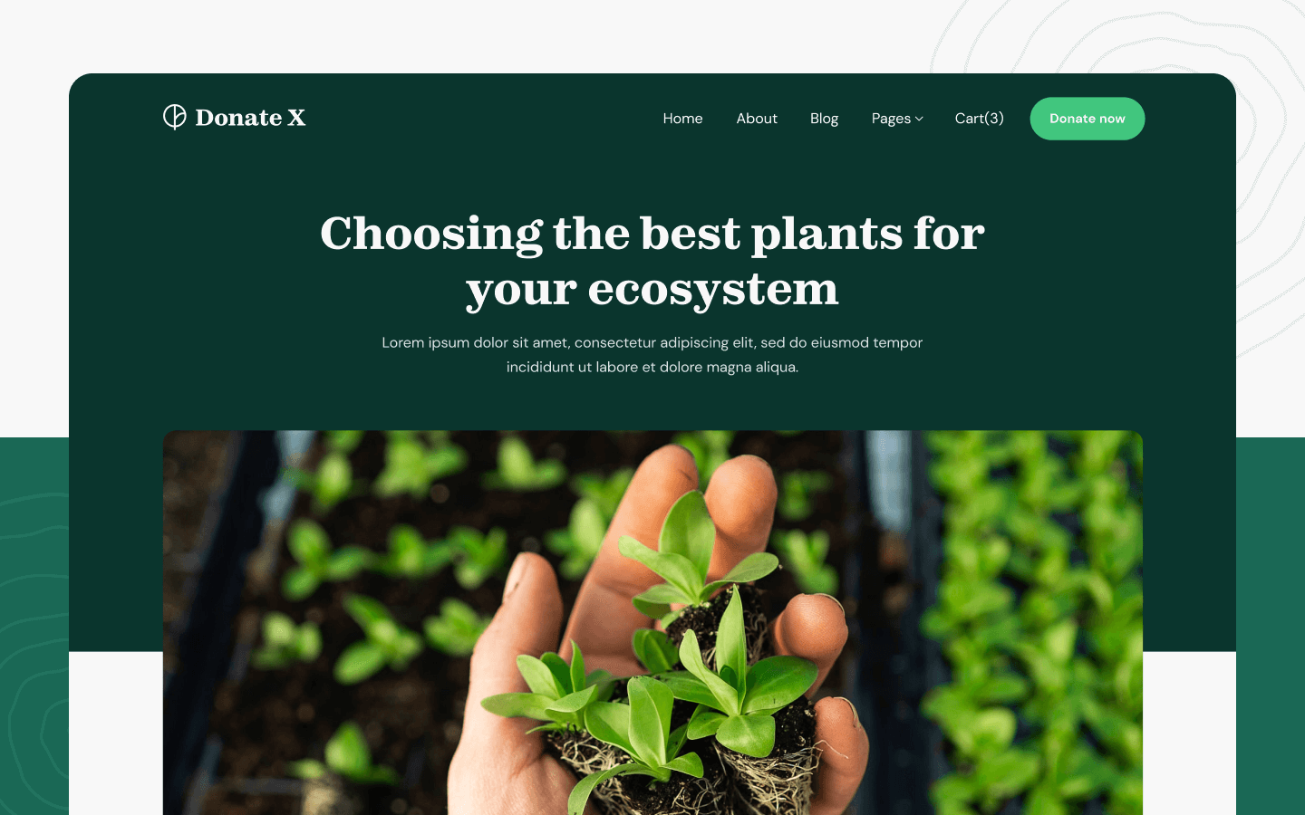 Donation X Webflow Template