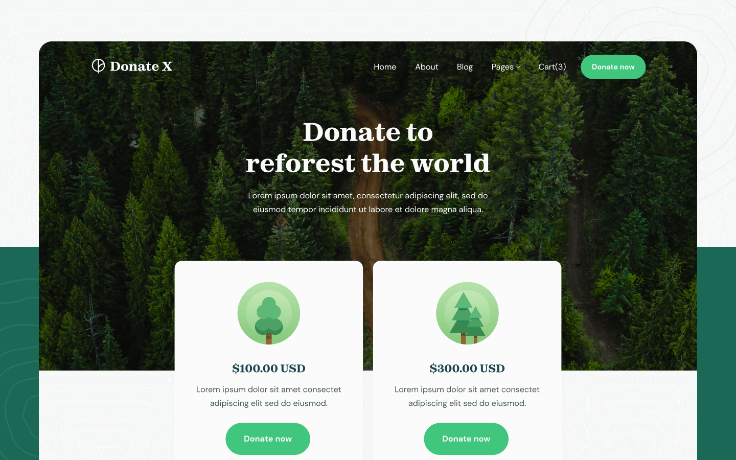 Donation X Webflow Template