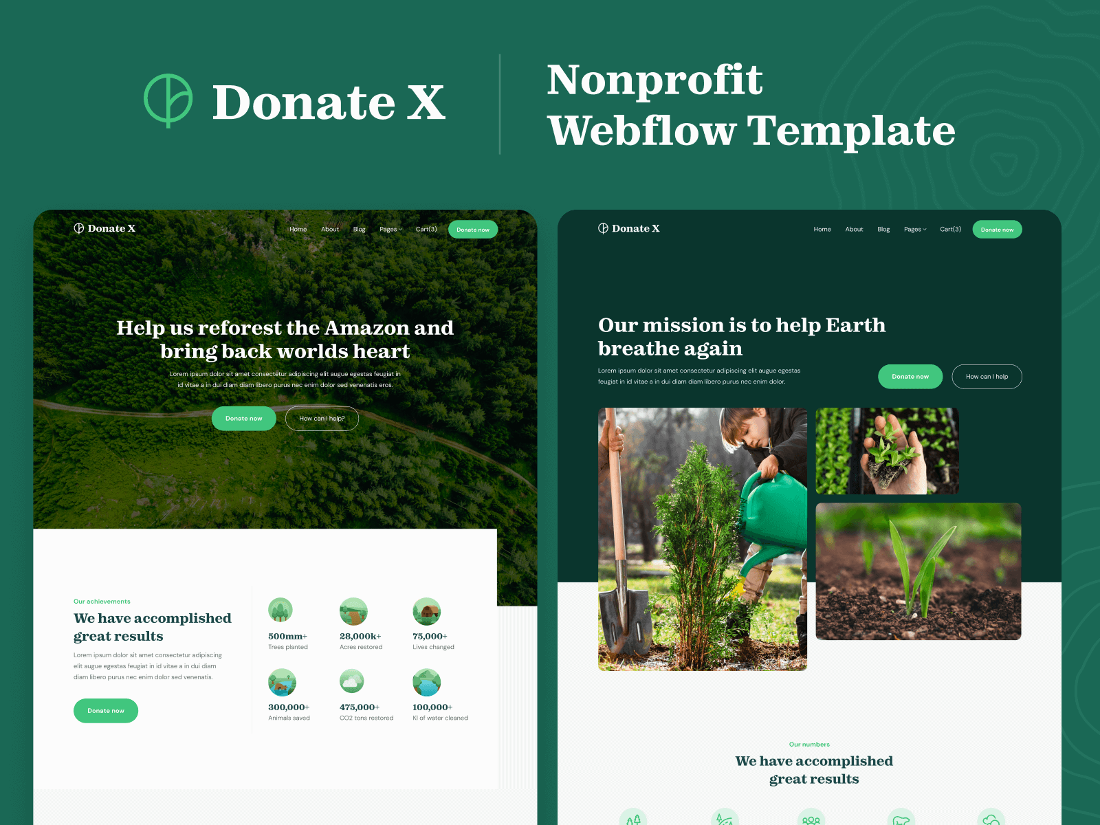 Donation Webflow Template