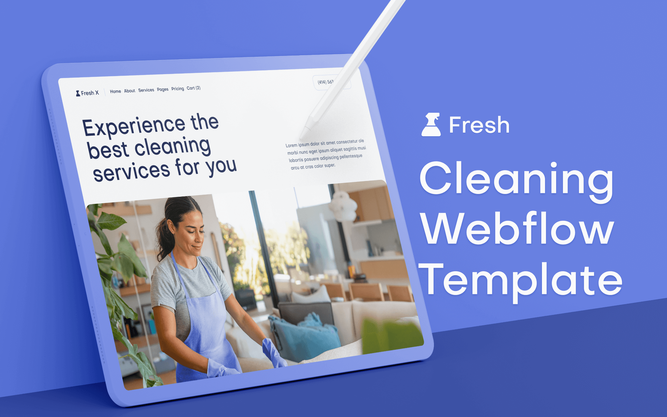 Cleaning Webflow Template