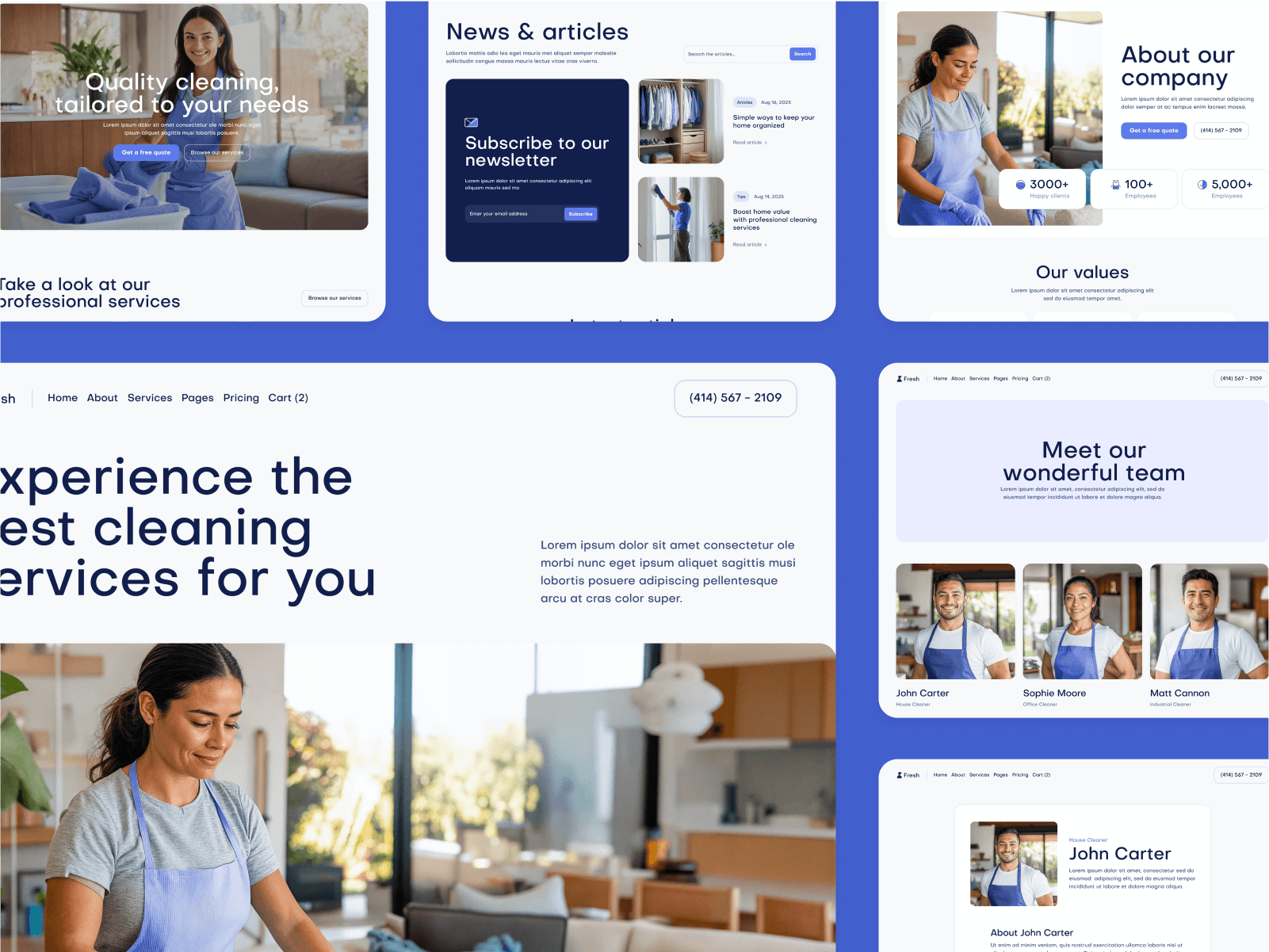 Cleaning Webflow Theme