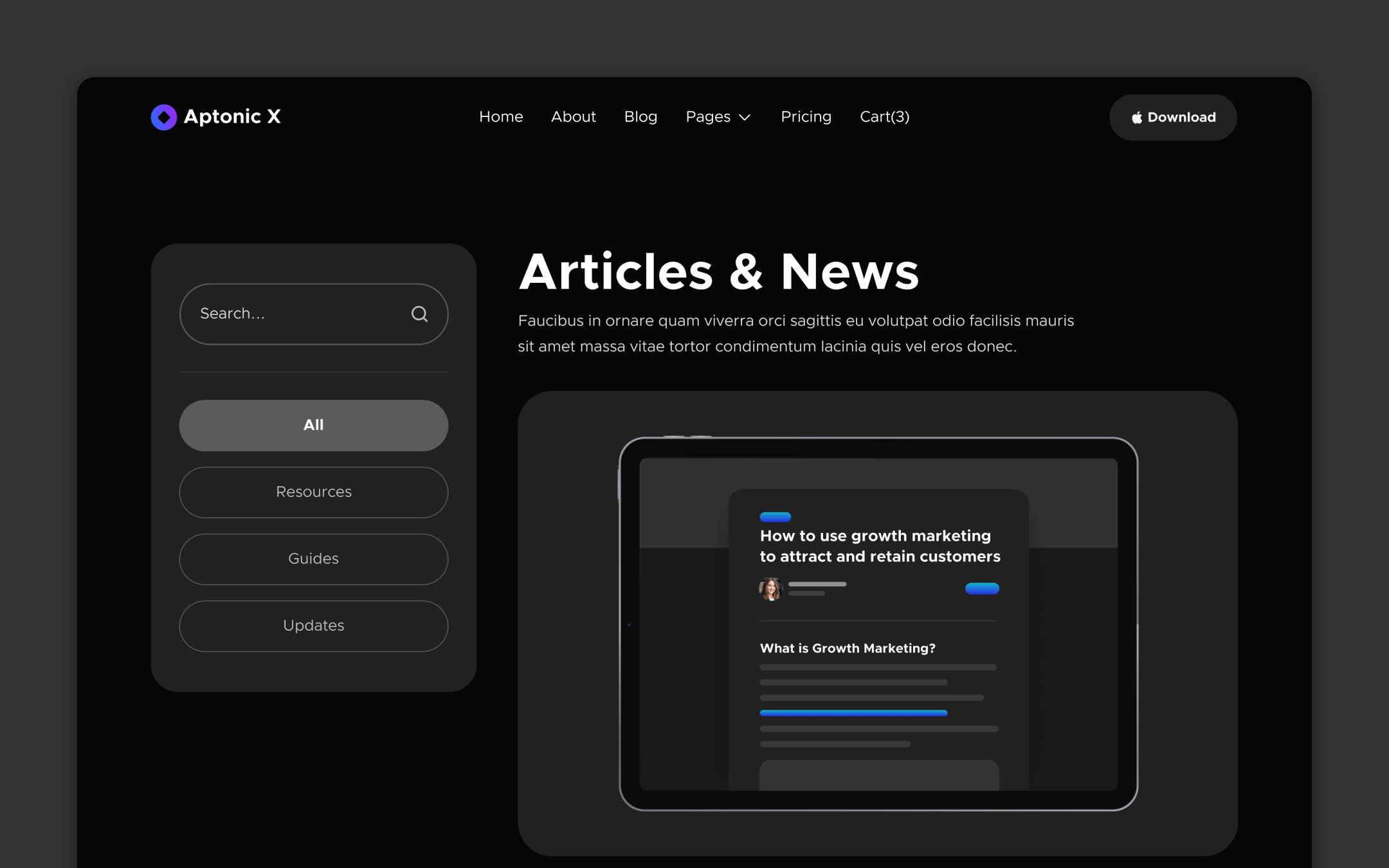 Aptionic X Webflow Template