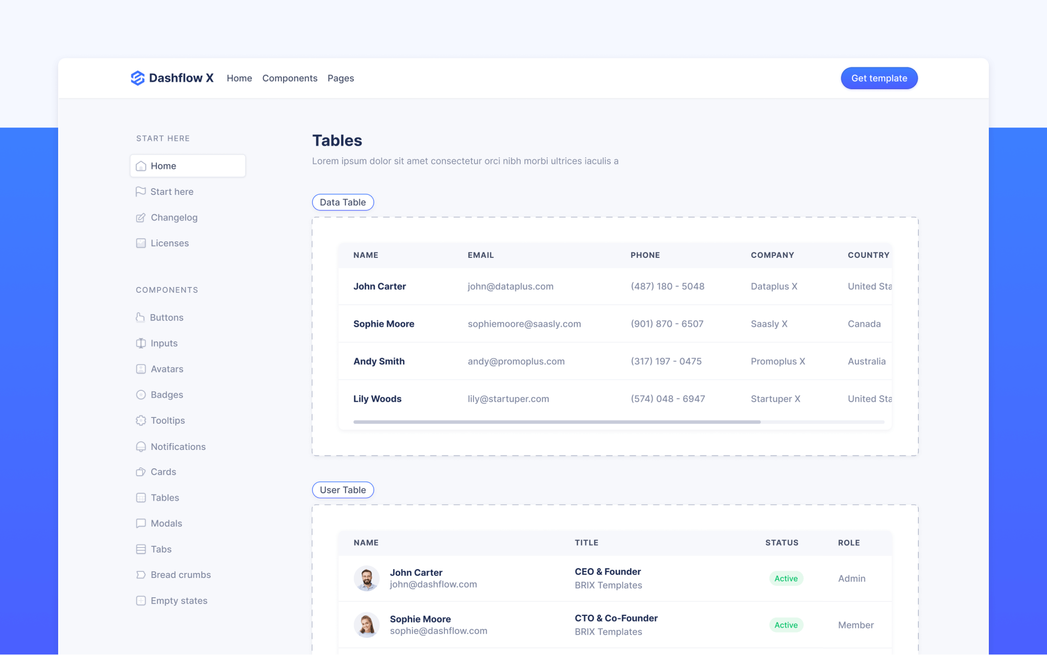 Dashflow X Webflow Template