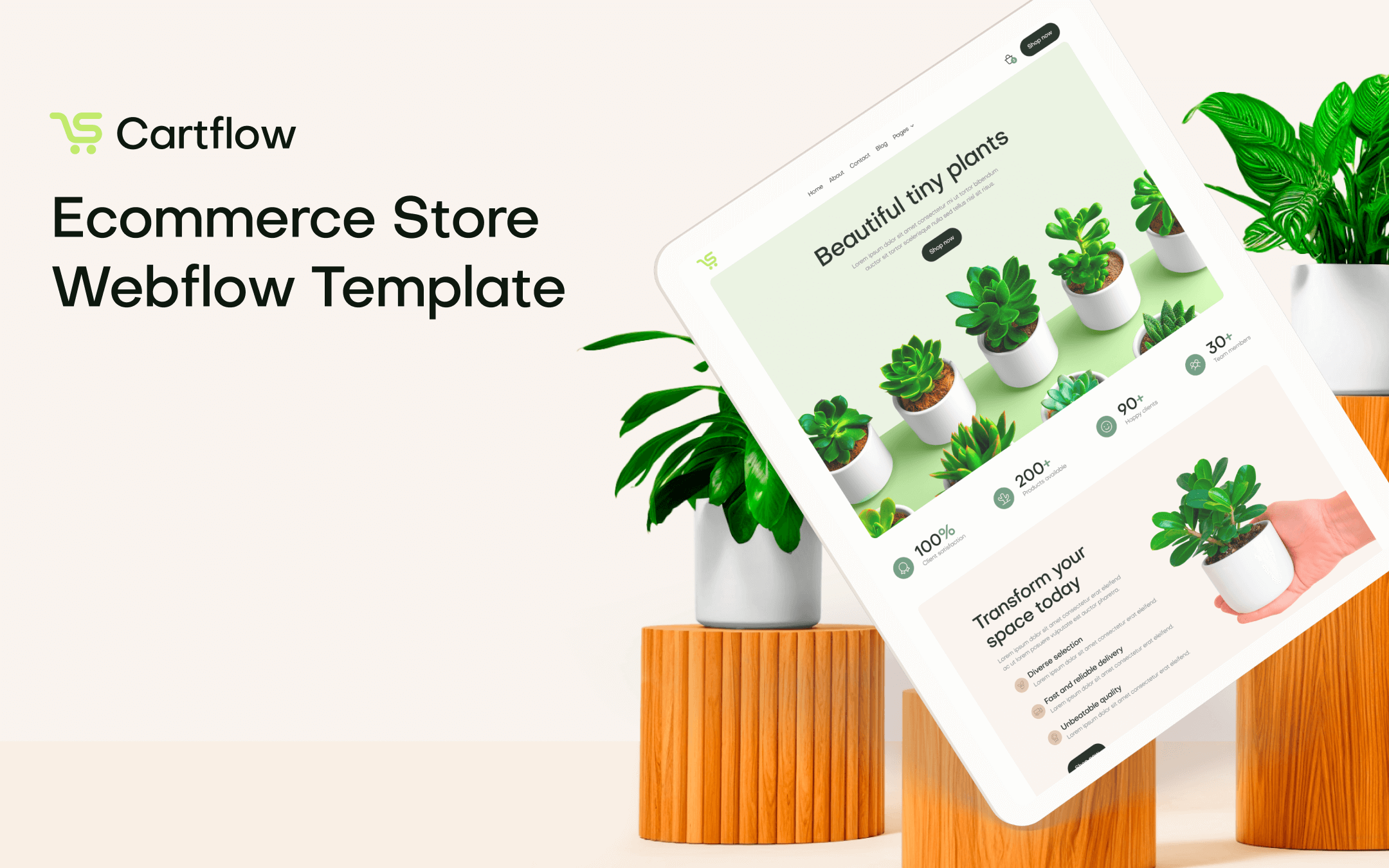 Ecommerce Store Webflow Template
