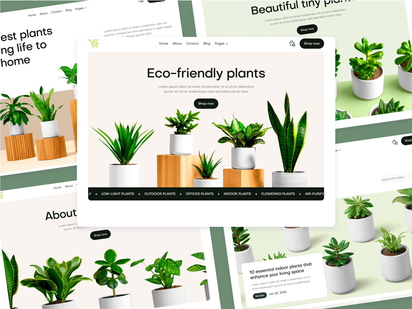 Ecommerce Store Webflow Theme