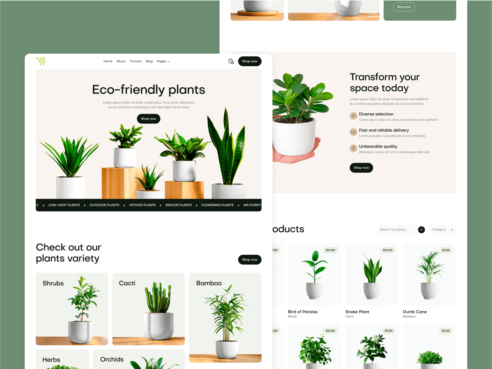 Ecommerce Store Webflow Template