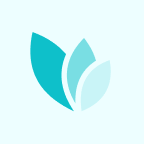 Insurance Webflow Template