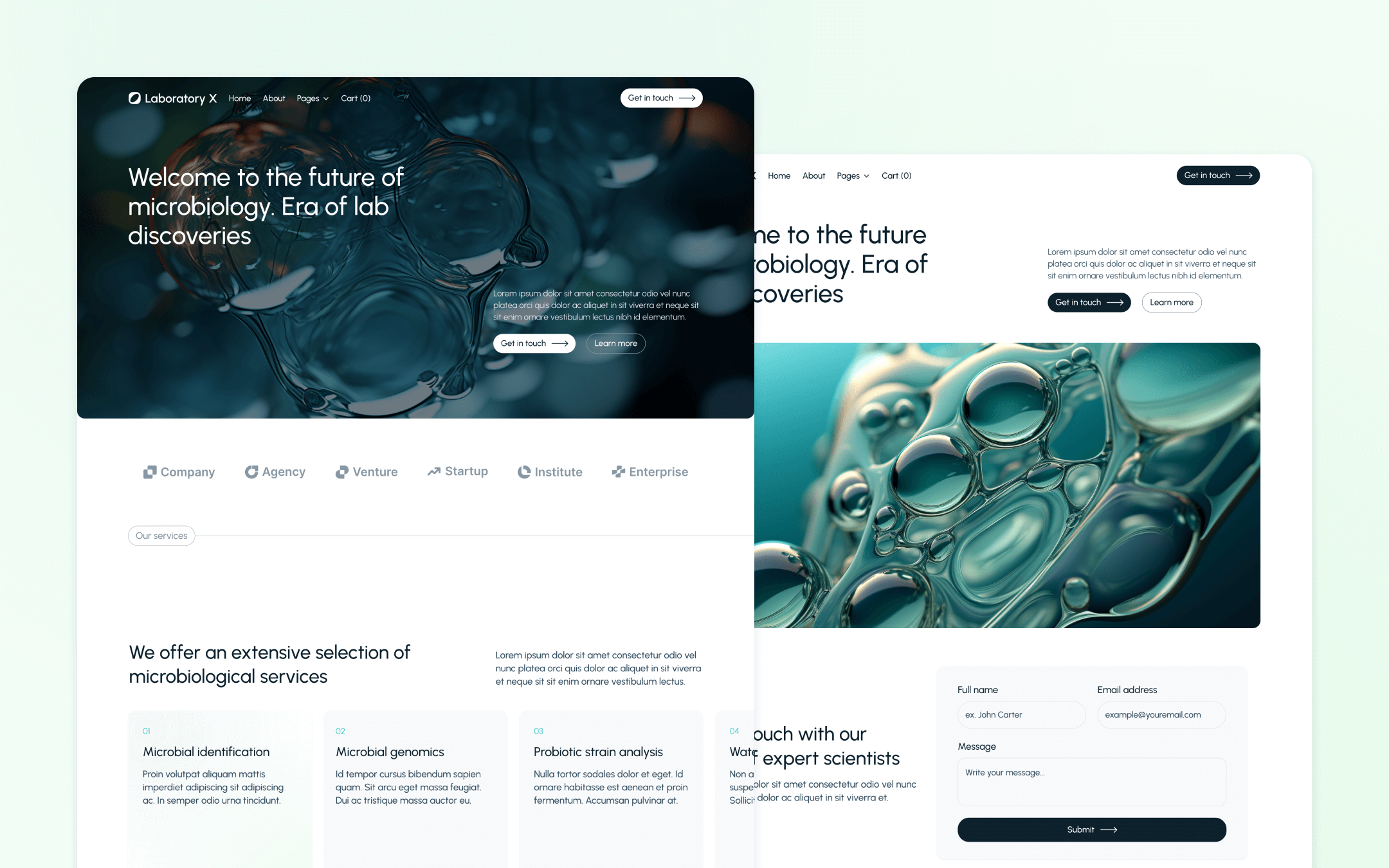 Laboratory X Webflow Template