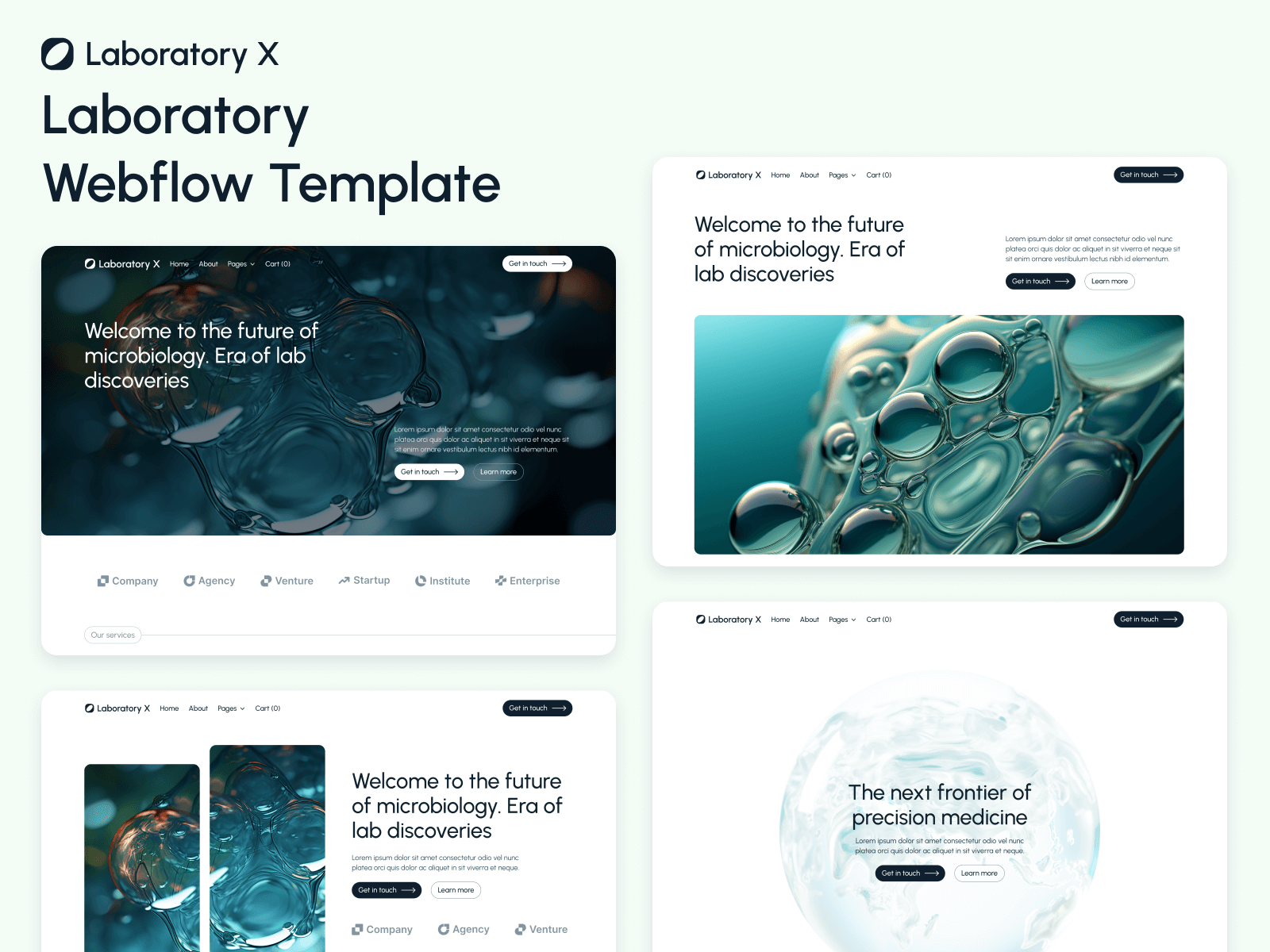 Laboratory Webflow Template
