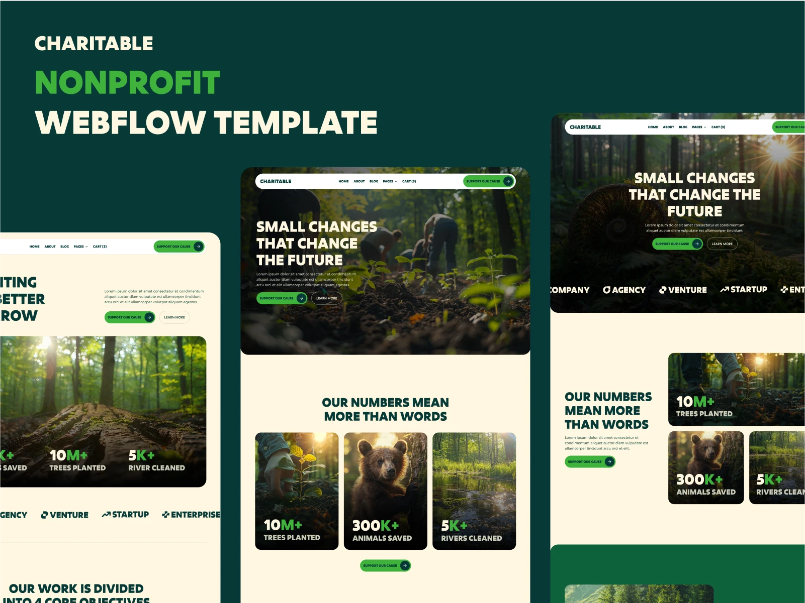 Nonprofit Webflow Template