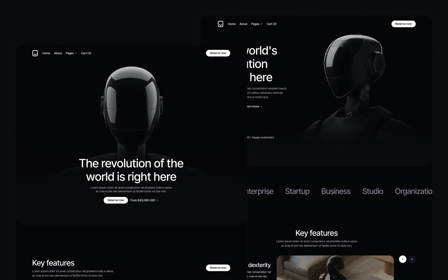 Robotflow Webflow Template