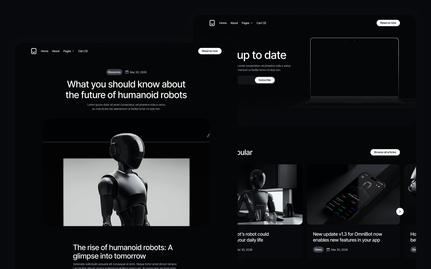 Robotflow Webflow Template