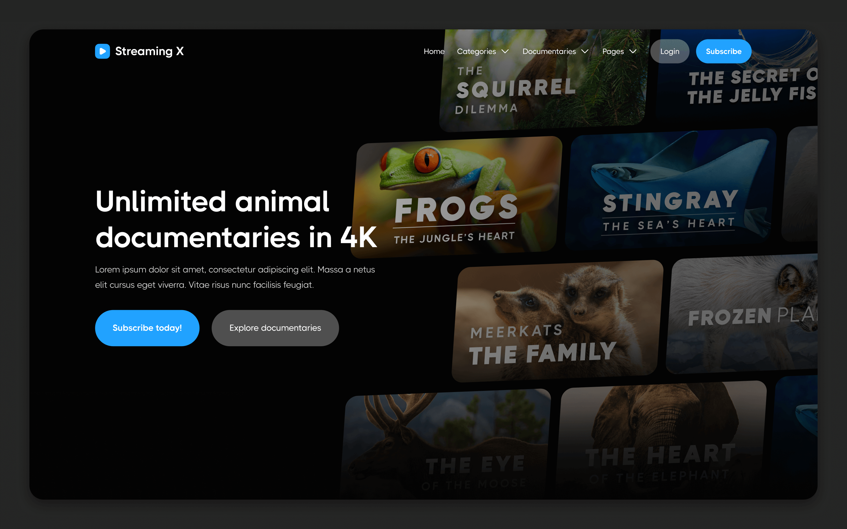 Streaming Webflow Template