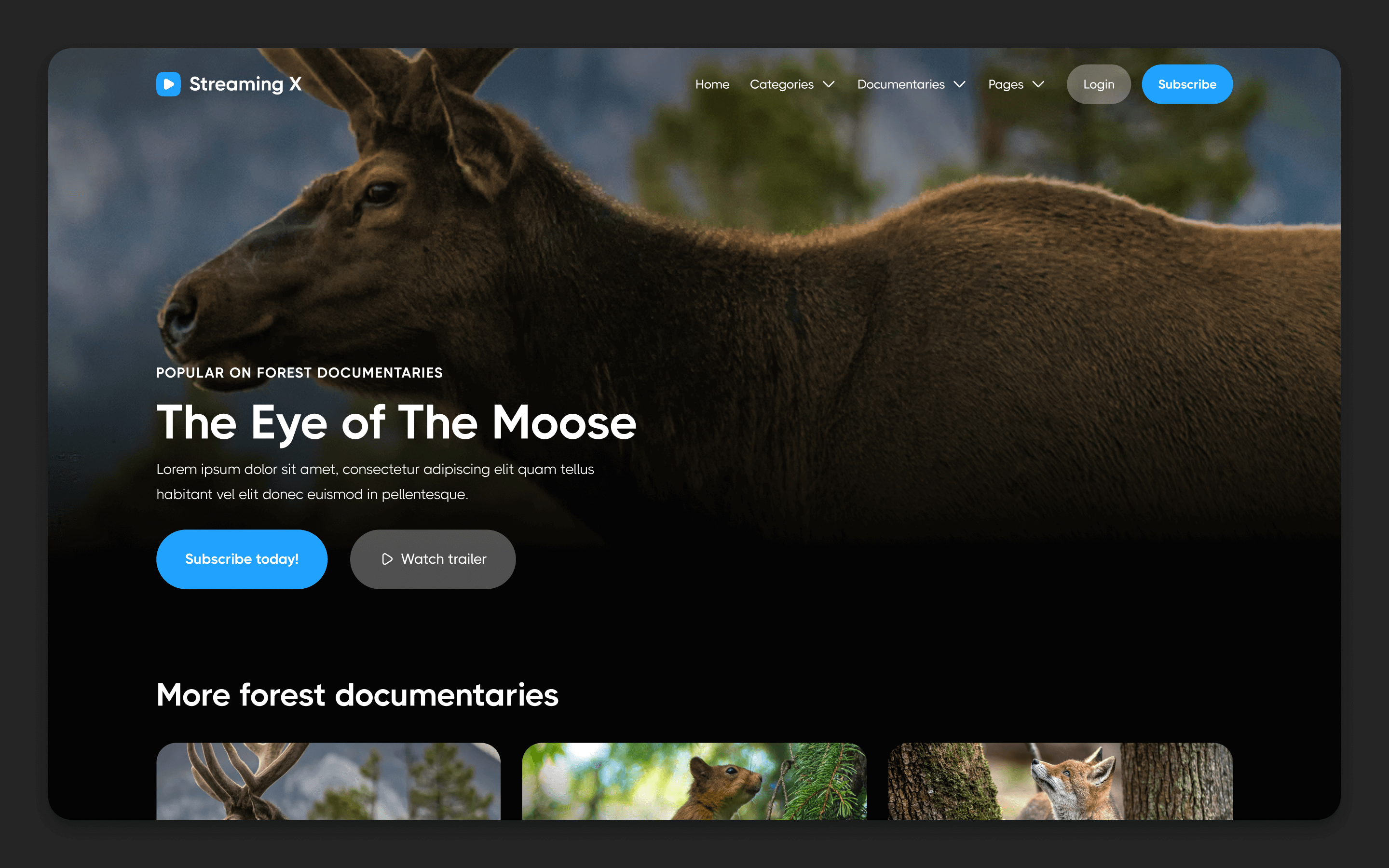 Streaming X Webflow Template