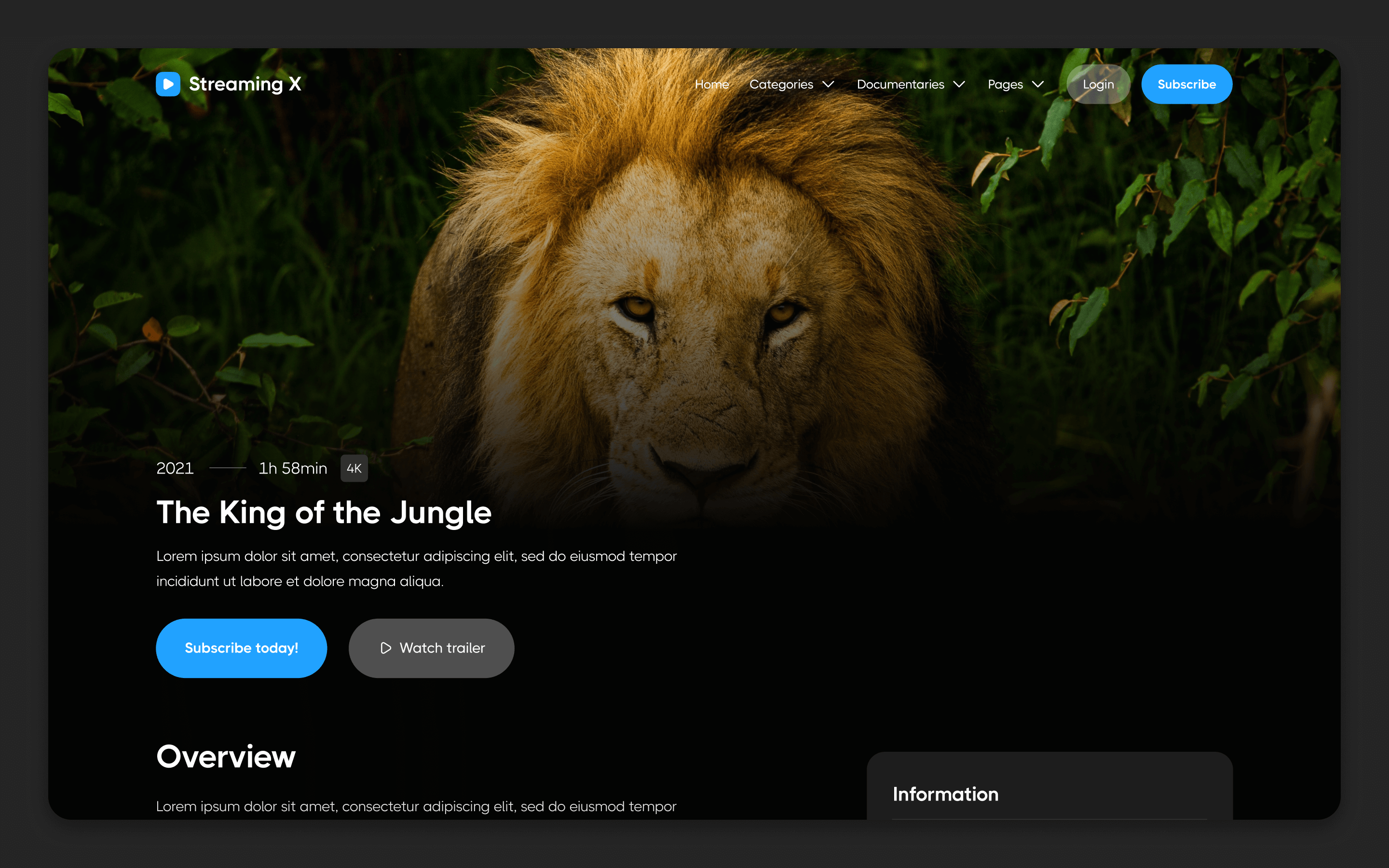 Streaming X Webflow Template