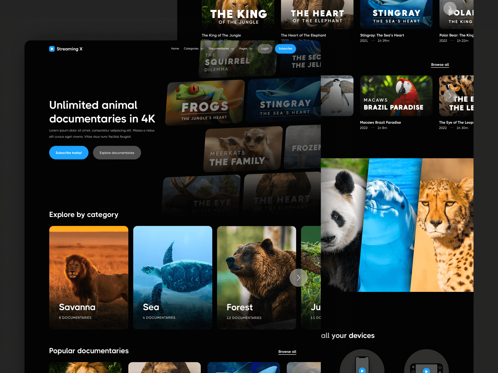 Streaming Webflow Template
