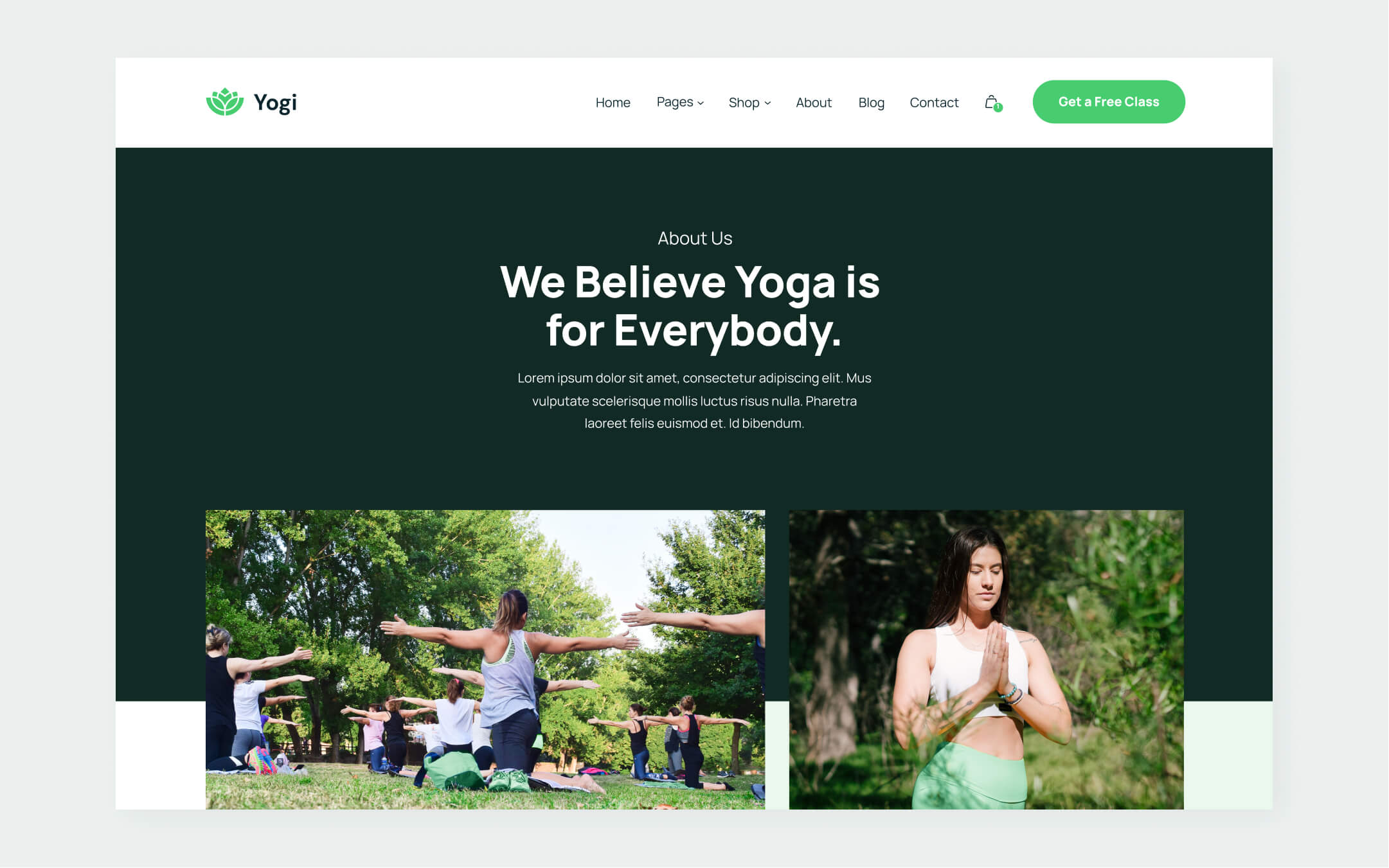 Yogi Webflow Template