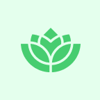 Yogi